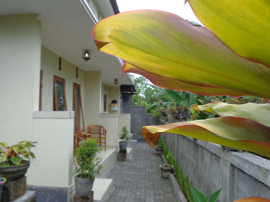 Sintya Homestay Ubud Eksteriør bilde
